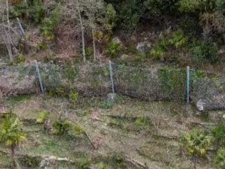 laveno sostituita barriera paramassi