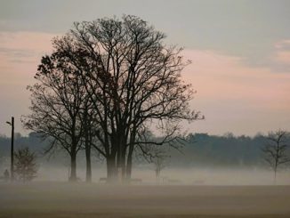 miglioramento nuvole schiarite nebbia