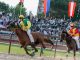 legnano palio