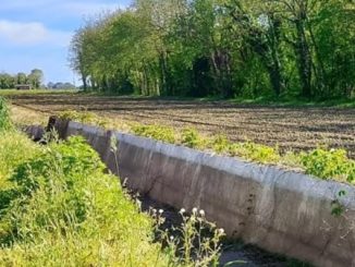 castanoprimo polo logistico terreno