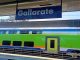 gallarate milano treni verdi