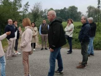 varese 5 stelle canile
