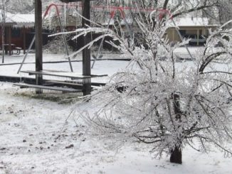 Arpa Gelicidio Lombardia pioggia