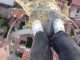 Novara cupola arrampicata climber