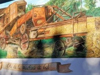 Consorzio Agricoltori Cardanesi cooperativa