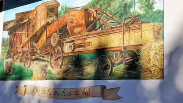 Consorzio Agricoltori Cardanesi cooperativa