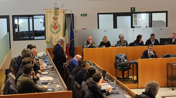 Gallarate forza italia bertoglio