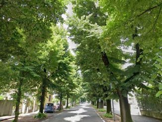 gallarate verde pubblico manutenzioni