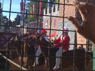 legnano palio canapo