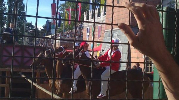 legnano palio canapo