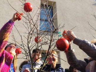 fondazione ascoli ricerca varese