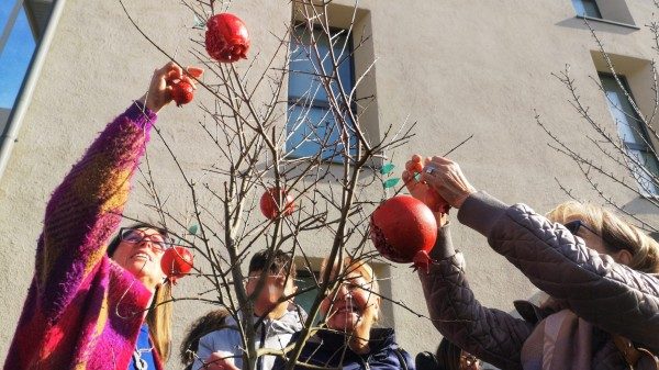 fondazione ascoli ricerca varese