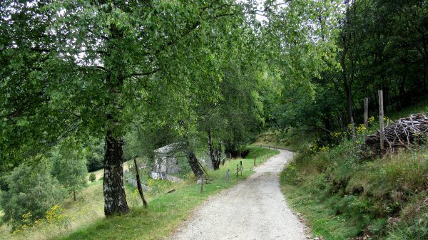 forcora anello mountain bike