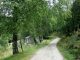 forcora anello mountain bike