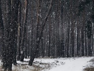 peggioramento pioggia foschie neve