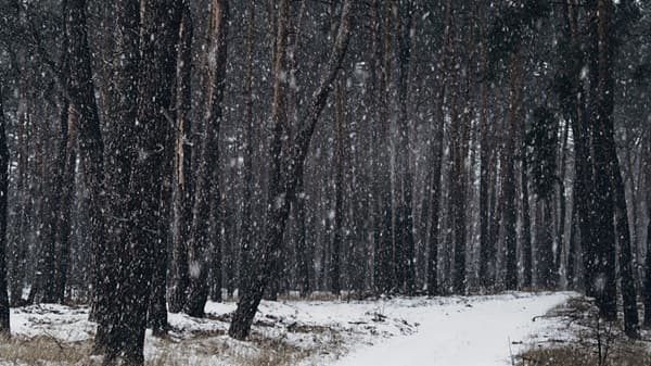 peggioramento pioggia foschie neve