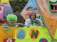 somma carnevale sfilata gallarate