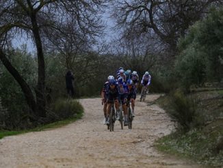 ciclismo uci consultazione