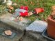 legnano cimiteri degrado