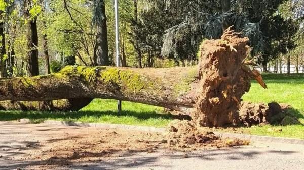 Novara vento danni ferito