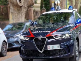 Stresa vandalo gomme tagliate