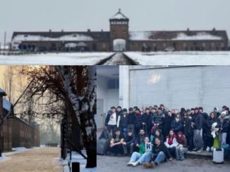 Gallarate Ponti memoria treno