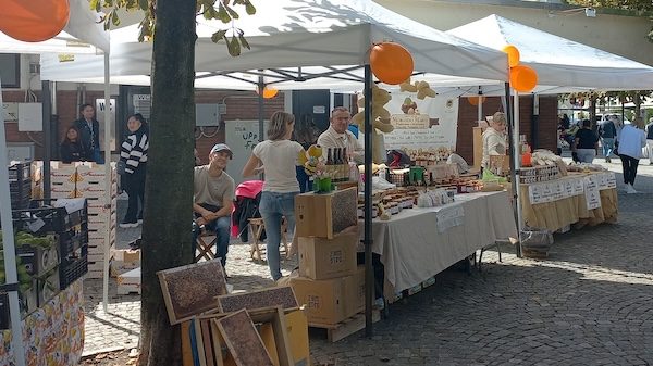 Gallarate mercatino mani magiche