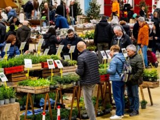 Gardenium busto Malpensa fiere