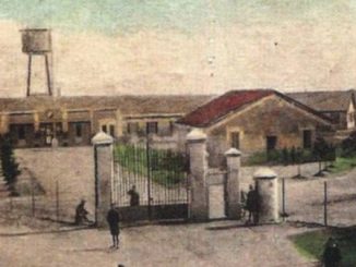 lonate campo promessa fdi spaccio