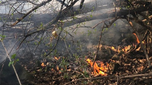 gallarate casorate vergiate danni incendi