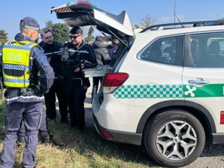 polizia locale