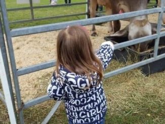 Varese AgriVarese fiera programma