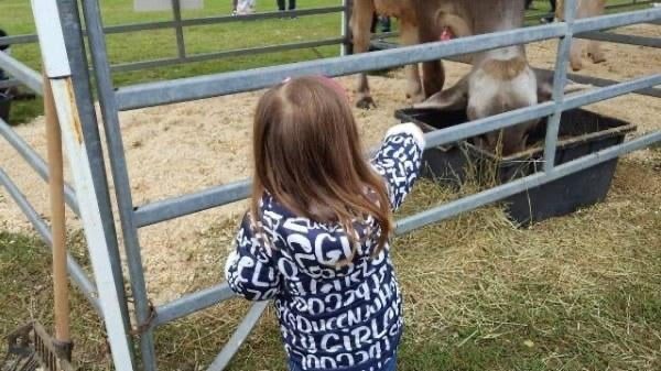 Varese AgriVarese fiera programma