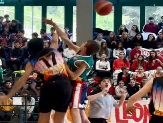 Varese School Cup Basket