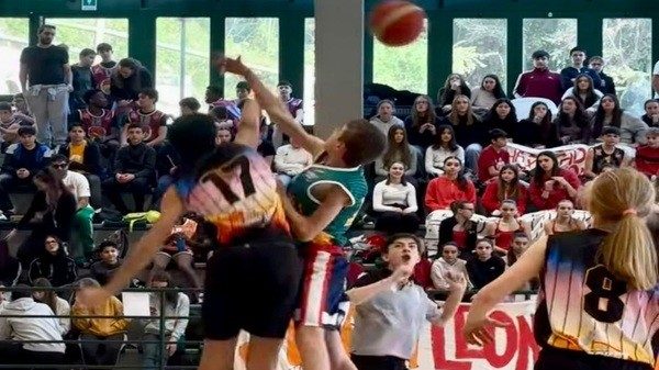 Varese School Cup Basket