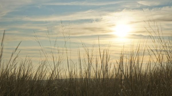annuvolamenti schiarite temperatura gradi