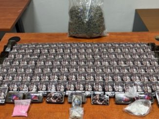 gallarate hashish auto arrestato