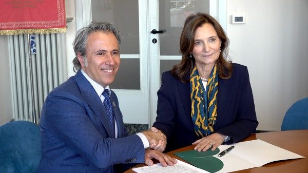 insubria camera commercio varese