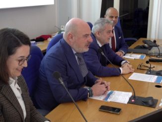istat liuc statistica sviluppo