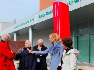 ospedale varese scultura frattini
