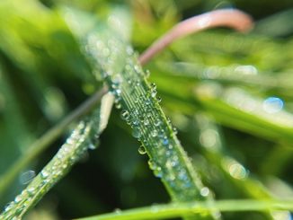 piovasco sereno termometro discesa