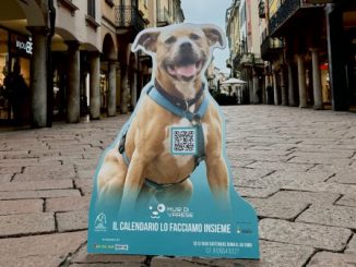 varese calendario cani padroni