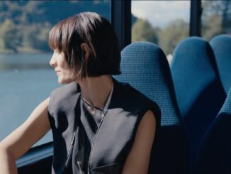 varese viaggio autobus video