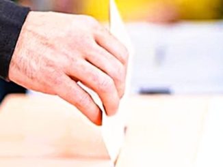 vedano referendum pellicini mantovani