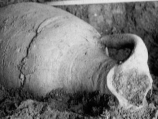 Cardano necropoli scoperta conferenze