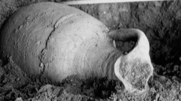 Cardano necropoli scoperta conferenze