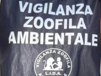 Cavaria Lida guardie zoofile