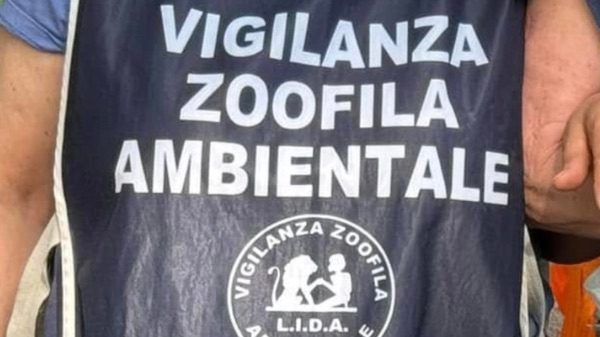 Cavaria Lida guardie zoofile