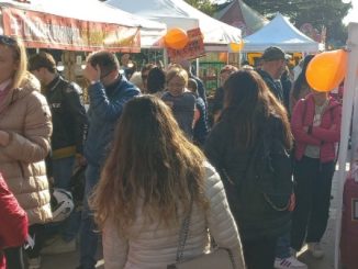 Gallarate mercatino artigiani sabato