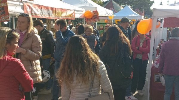 Gallarate mercatino artigiani sabato